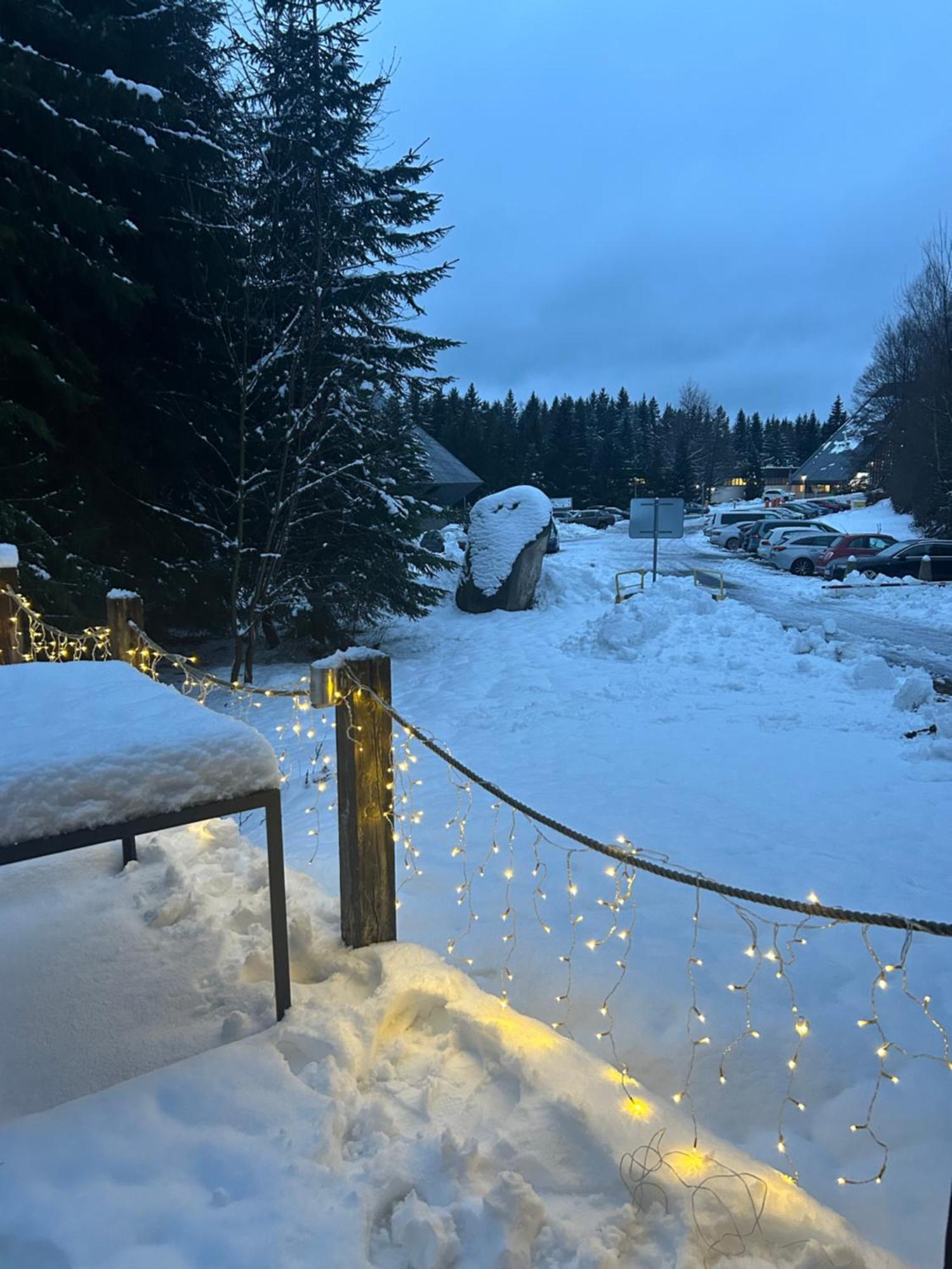 Horsky Chalet Harrachov Zewnętrze zdjęcie